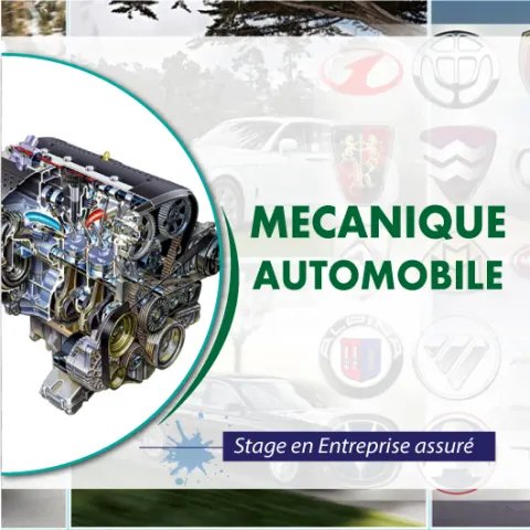 Car Mechanics
