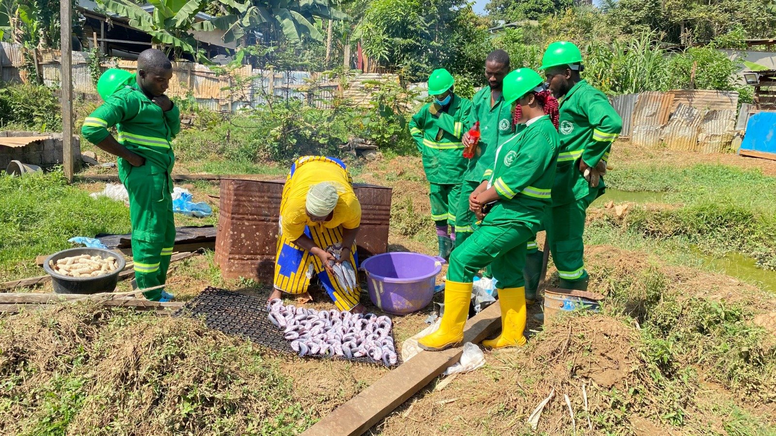 Agriculture et Élevage / Production Animale et Végétale