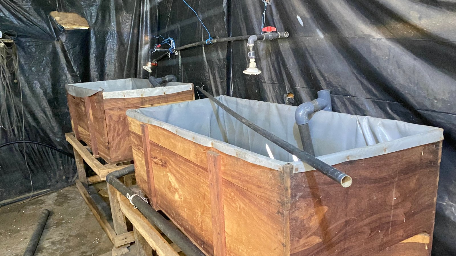 Agriculture et Élevage / Production Animale et Végétale