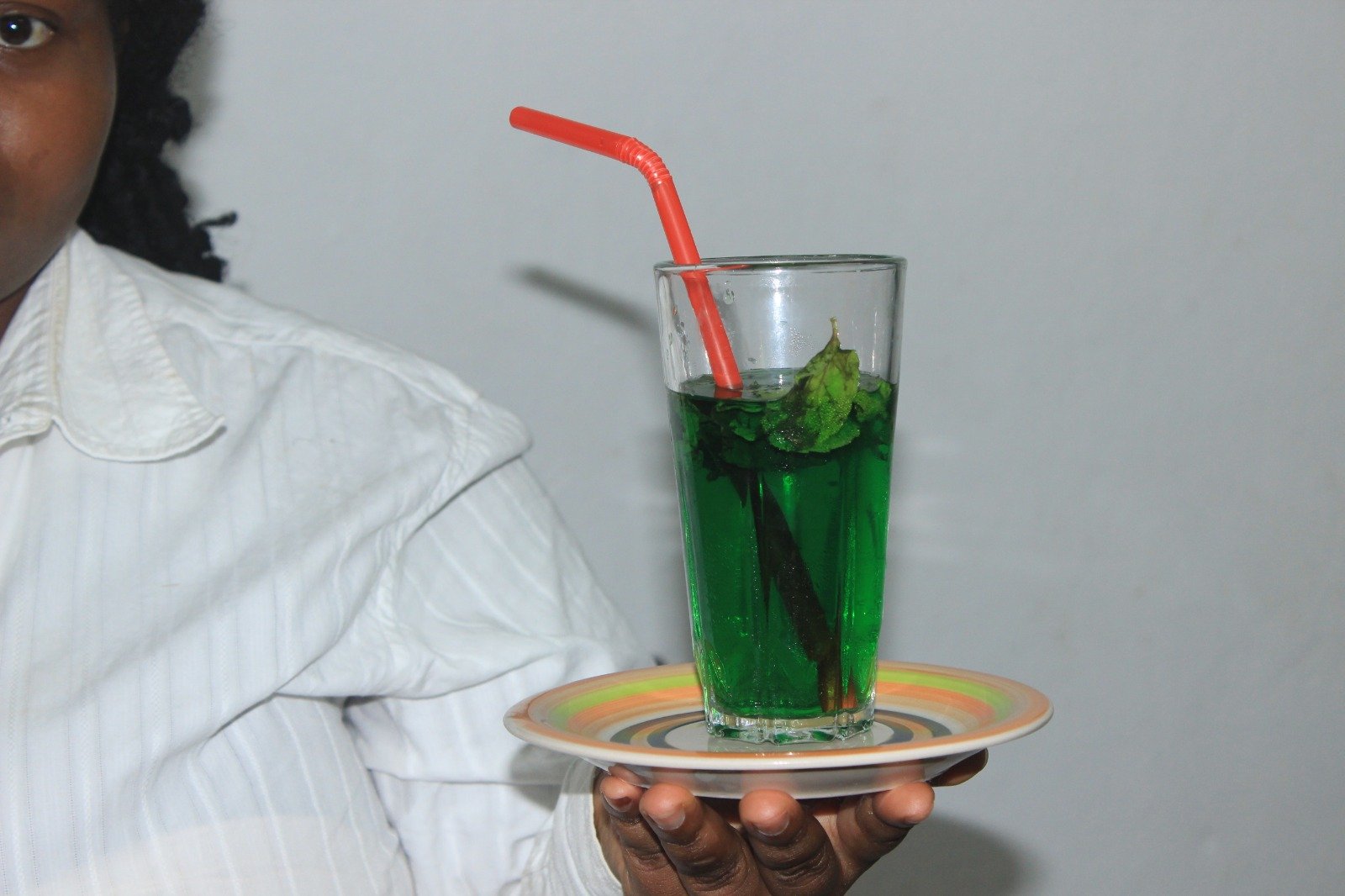 Hôtellerie Restauration (Cuisine-Bar-Restaurant / Gestion Hôtelière / Hébergement)