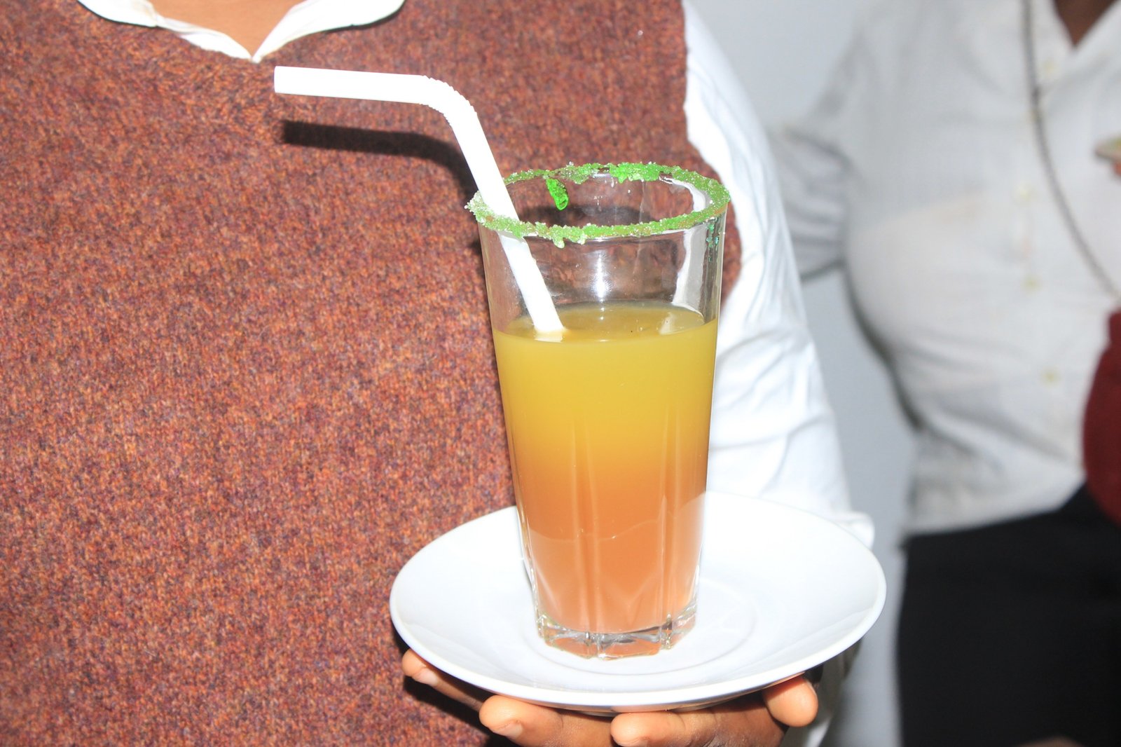 Hôtellerie Restauration (Cuisine-Bar-Restaurant / Gestion Hôtelière / Hébergement)