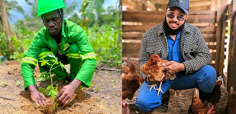 Agriculture et Élevage / Production Animale et Végétale